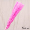 Reed dried flower home decoration