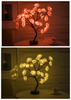 Rose Flower Lamp USB Battery Operated LED Table Lamp